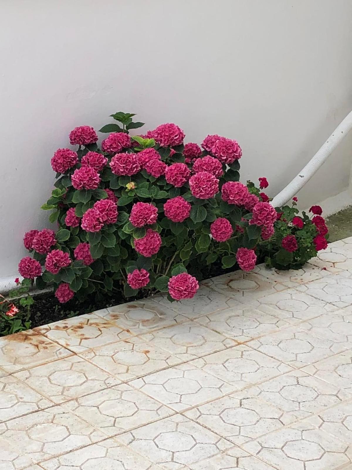 Anna'S House Διαμέρισμα Βρασνά Εξωτερικό φωτογραφία